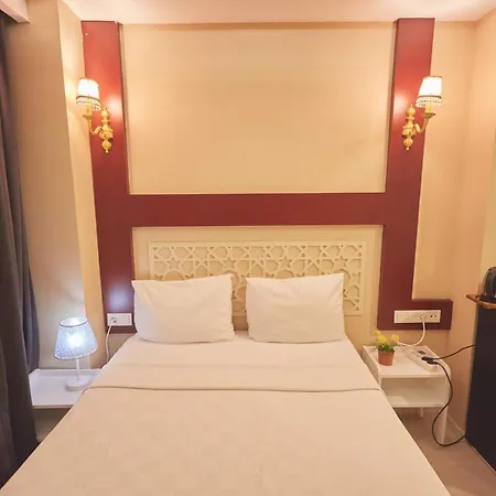 信天翁圣索非亚大教堂酒店 酒店 3*